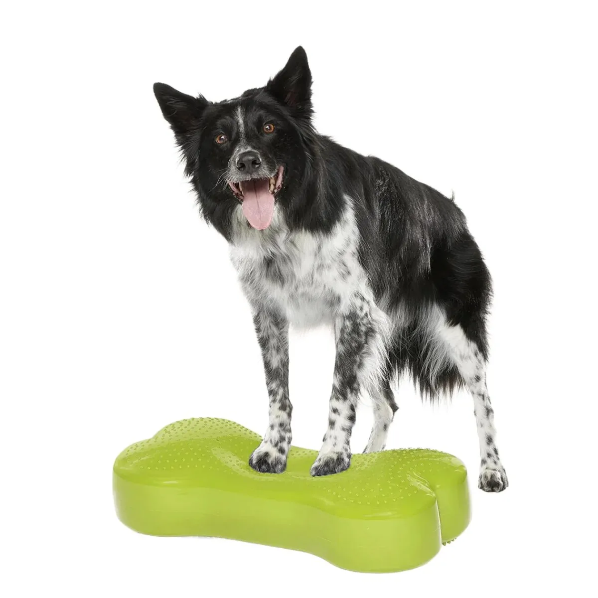FitPaws Koiran Tasapainotyynyt|Uutuudet Koirille*K9FitBone, 58 x 29 x 10 cm