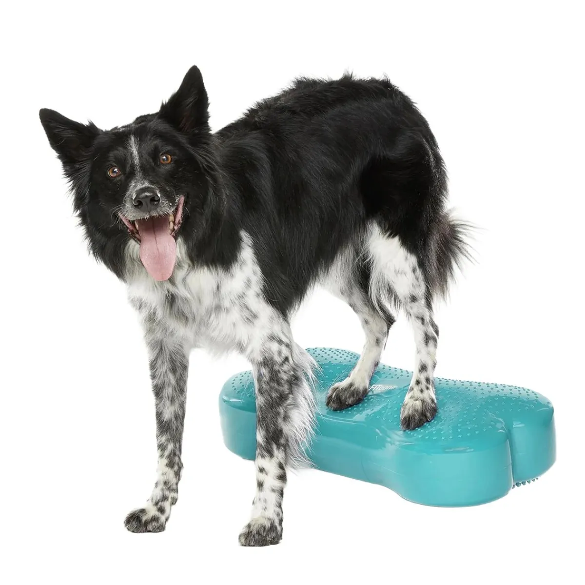 FitPaws Koiran Tasapainotyynyt|Uutuudet Koirille*K9FitBone, 58 x 29 x 10 cm
