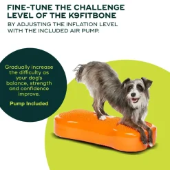 FitPaws Koiran Tasapainotyynyt|Uutuudet Koirille*K9FitBone, 58 x 29 x 10 cm
