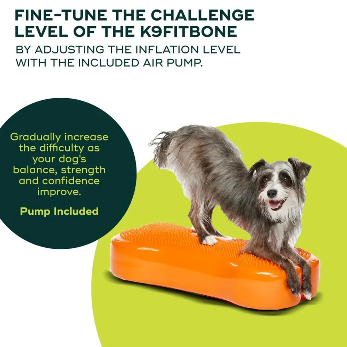 FitPaws Koiran Tasapainotyynyt|Uutuudet Koirille*K9FitBone, 58 x 29 x 10 cm