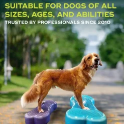 FitPaws Koiran Tasapainotyynyt|Uutuudet Koirille*K9FitBone, 58 x 29 x 10 cm