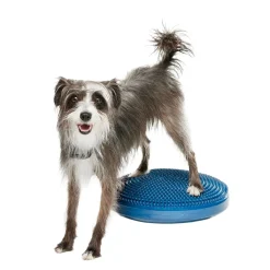 FitPaws Koiran Tasapainotyynyt|Uutuudet Koirille*-koiran tasapainotyyny, 36 cm