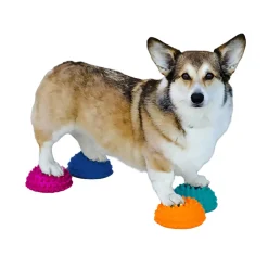 FitPaws Koiran Tasapainotyynyt|Uutuudet Koirille*Paw Pods, 4 kpl