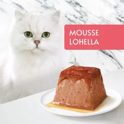 Gourmet Kissan Märkäruoka|Tarjoukset Kissoille*Revelations Salmon 2x57 g