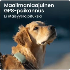 Tractive Retkeily Koiran Kanssa|Retkeily*GPS koiralle XL