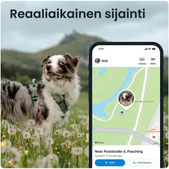 Tractive Retkeily Koiran Kanssa|Retkeily*GPS koiralle XL