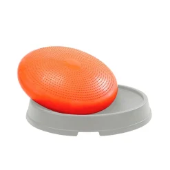Gymnic Koiran Tasapainotyynyt*Disco Dome tasapainotyyny alustalla