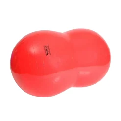 Gymnic Koiran Tasapainotyynyt*Physio Roll punainen