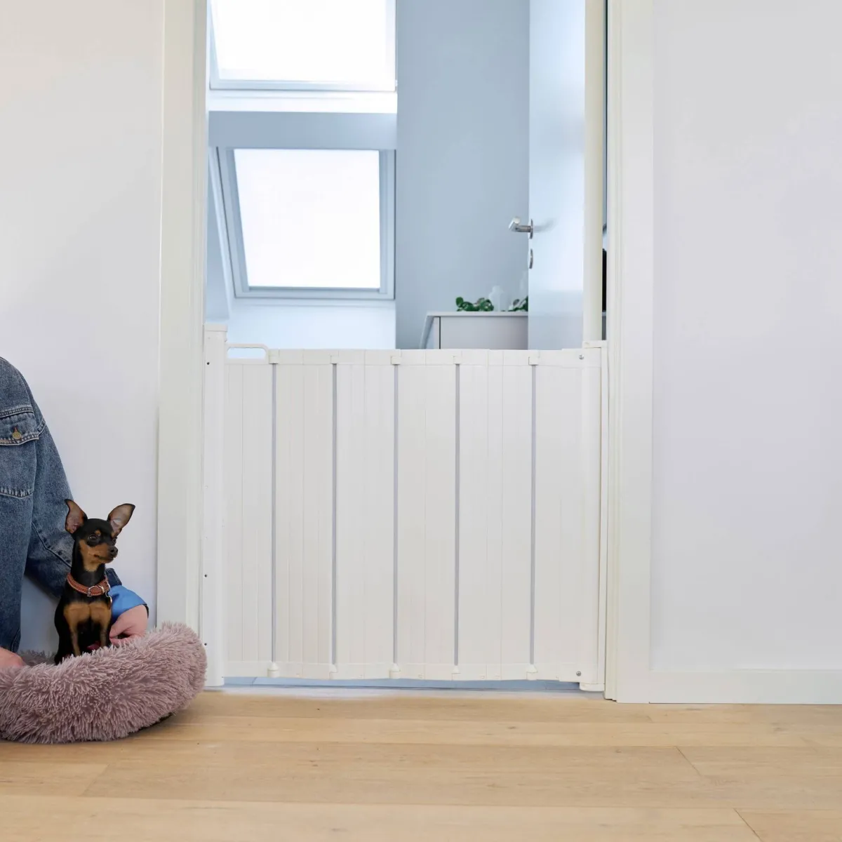 DogSpace Portit|Häkit*Haitariportti Marley 72,5 x 92 cm, valkoinen