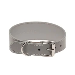Collar of Sweden Koiran Pannat*Heijastava panta