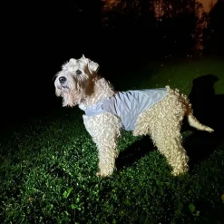 Icepeak Pet Koiran Vaatteet|Koiran Huomioliivit*Heijastinliivi koiralle Brightly
