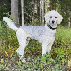 Icepeak Pet Koiran Vaatteet|Koiran Huomioliivit*Heijastinliivi koiralle Brightly