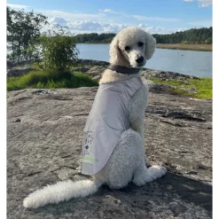 Icepeak Pet Koiran Vaatteet|Koiran Huomioliivit*Heijastinliivi koiralle Brightly