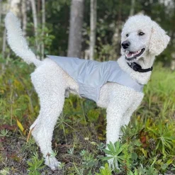 Icepeak Pet Koiran Vaatteet|Koiran Huomioliivit*Heijastinliivi koiralle Brightly