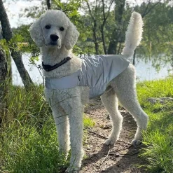 Icepeak Pet Koiran Vaatteet|Koiran Huomioliivit*Heijastinliivi koiralle Brightly