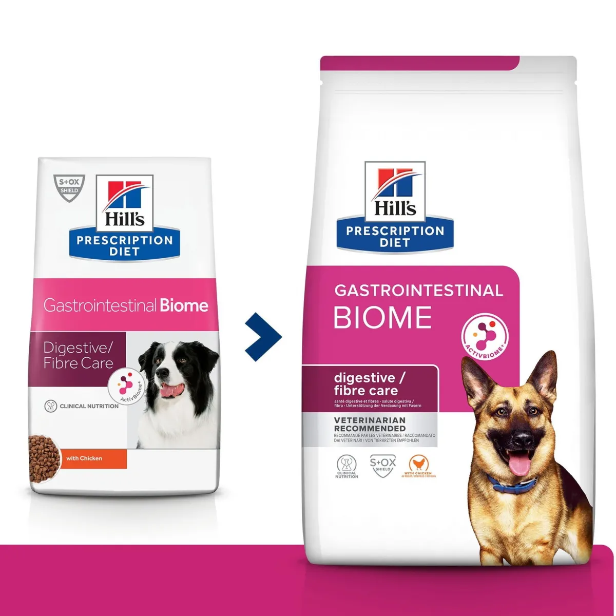 Hill's Prescription Diet Koiran Eläinlääkäriruoka|Koiran Suolistosairaudet*Hill's PD Canine Gastrointestinal Biome