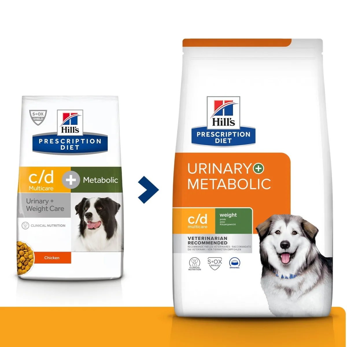 Hill's Prescription Diet Koiran Ylipaino|Koiran Virtsatievaivat*Hill's PD c/d Multicare + Metabolic 12g