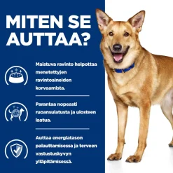 Hill's Prescription Diet Koiran Eläinlääkäriruoka|Koiran Suolistosairaudet*Canine i/d Digestive Care 360 g