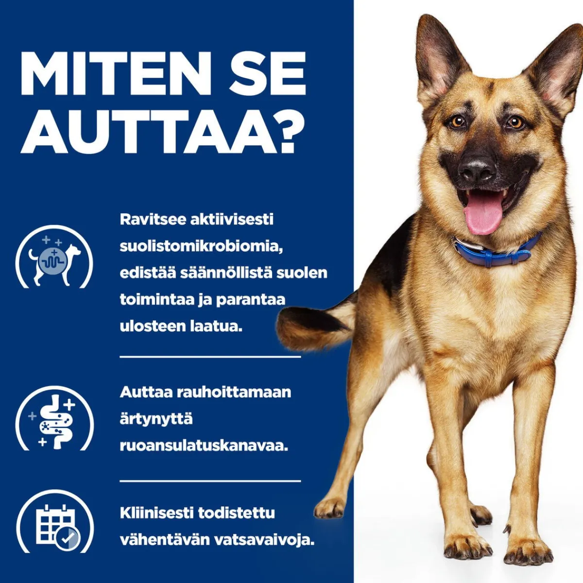 Hill's Prescription Diet Koiran Eläinlääkäriruoka|Koiran Suolistosairaudet*Canine Gastrointestinal Biome Chicken 354 g