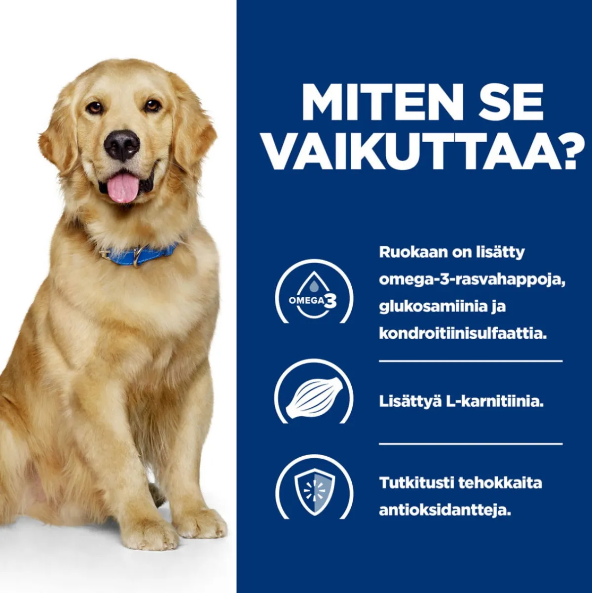 Hill's Prescription Diet Koiran Nivelvaivat|Koiran Eläinlääkäriruoka*Canine j/d Joint Care Reduced Calorie Chicken