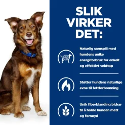 Hill's Prescription Diet Koiran Eläinlääkäriruoka|Koiran Ylipaino*Canine Metabolic Weight Loss & Maintenace Chicken 2x12 kg