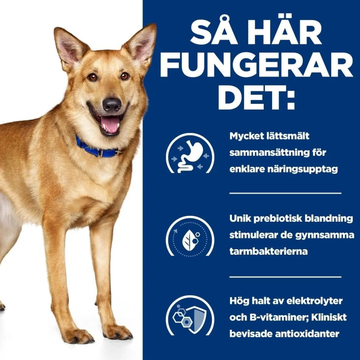 Hill's Prescription Diet Koiran Eläinlääkäriruoka|Koiran Suolistosairaudet*Canine i/d Digestive Care Chicken 2x12 kg