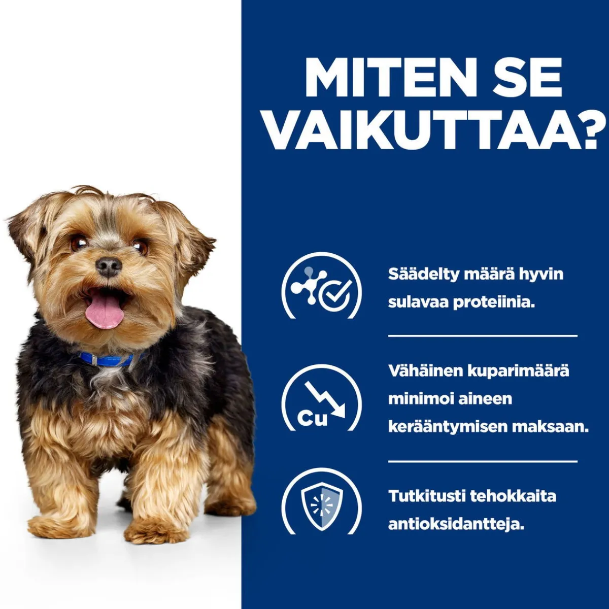 Hill's Prescription Diet Koiran Maksasairaudet|Koiran Eläinlääkäriruoka*Canine l/d Liver Care 370 g