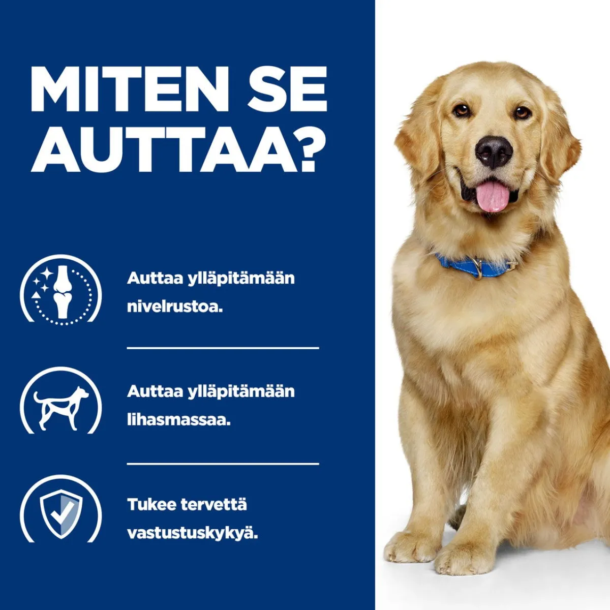 Hill's Prescription Diet Koiran Nivelvaivat|Koiran Eläinlääkäriruoka*Canine j/d Joint Care Reduced Calorie Chicken 2x12 kg
