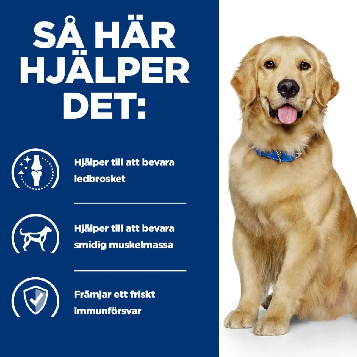 Hill's Prescription Diet Koiran Nivelvaivat|Koiran Eläinlääkäriruoka*Canine j/d Joint Care Reduced Calorie Chicken 2x12 kg