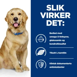 Hill's Prescription Diet Koiran Nivelvaivat|Koiran Eläinlääkäriruoka*Canine j/d Joint Care Reduced Calorie Chicken 2x12 kg