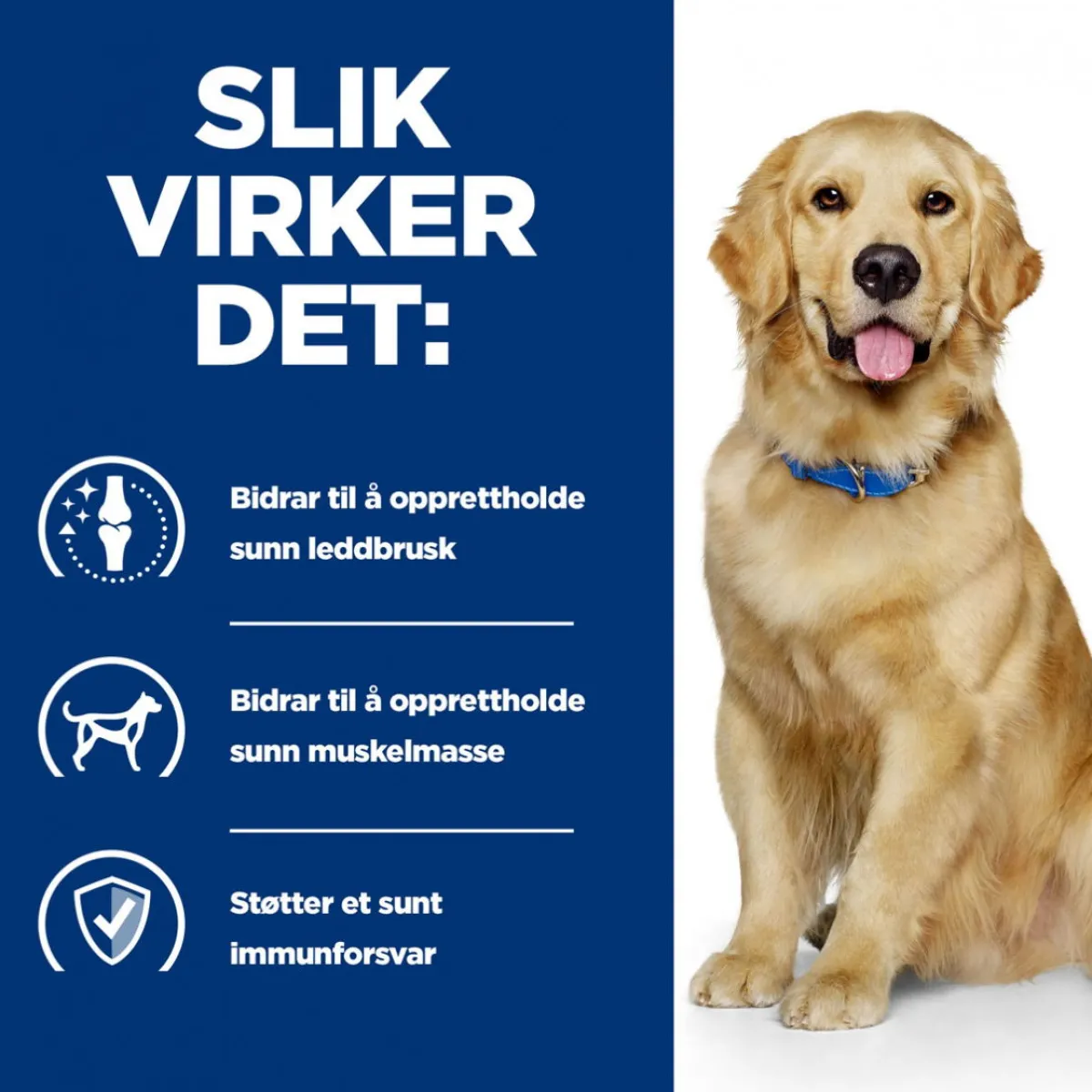 Hill's Prescription Diet Koiran Nivelvaivat|Koiran Eläinlääkäriruoka*Canine j/d Joint Care Reduced Calorie Chicken 2x12 kg