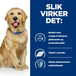 Hill's Prescription Diet Koiran Nivelvaivat|Koiran Eläinlääkäriruoka*Canine j/d Mobility Chicken 2x12 kg
