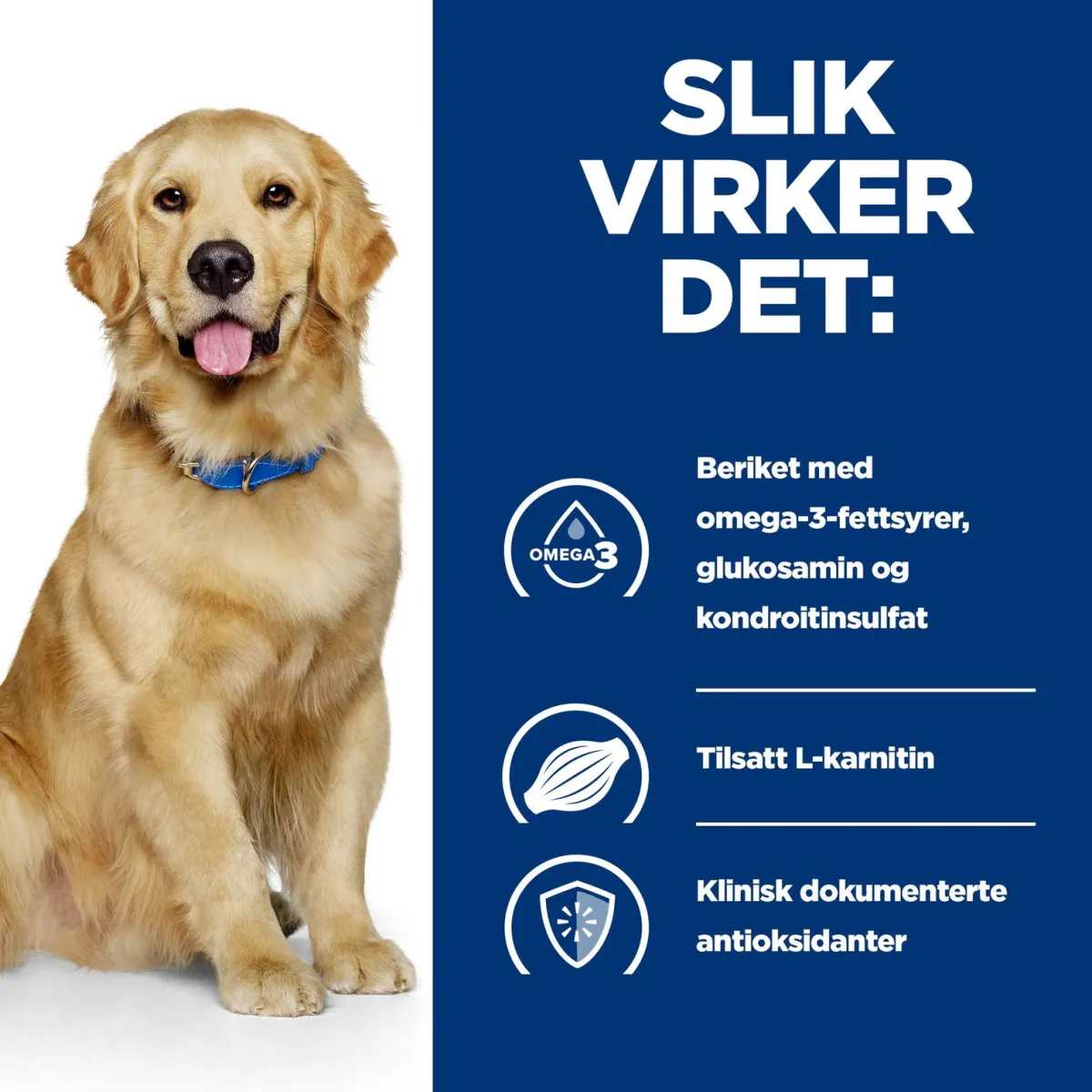 Hill's Prescription Diet Koiran Nivelvaivat|Koiran Eläinlääkäriruoka*Canine j/d Mobility Chicken 2x12 kg
