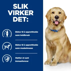 Hill's Prescription Diet Koiran Nivelvaivat|Koiran Eläinlääkäriruoka*Canine j/d Mobility Chicken 2x12 kg