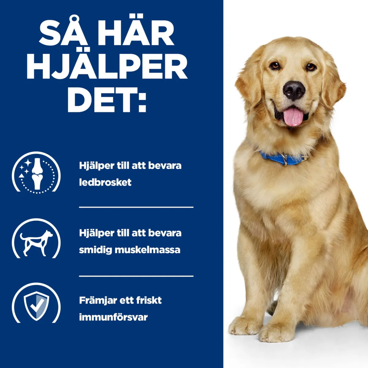 Hill's Prescription Diet Koiran Nivelvaivat|Koiran Eläinlääkäriruoka*Canine j/d Mobility Chicken 2x12 kg