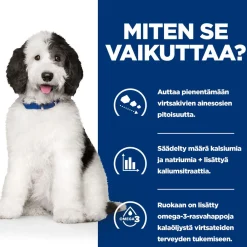 Hill's Prescription Diet Koiran Virtsatievaivat|Koiran Eläinlääkäriruoka*Canine c/d Multicare Chicken 370 g