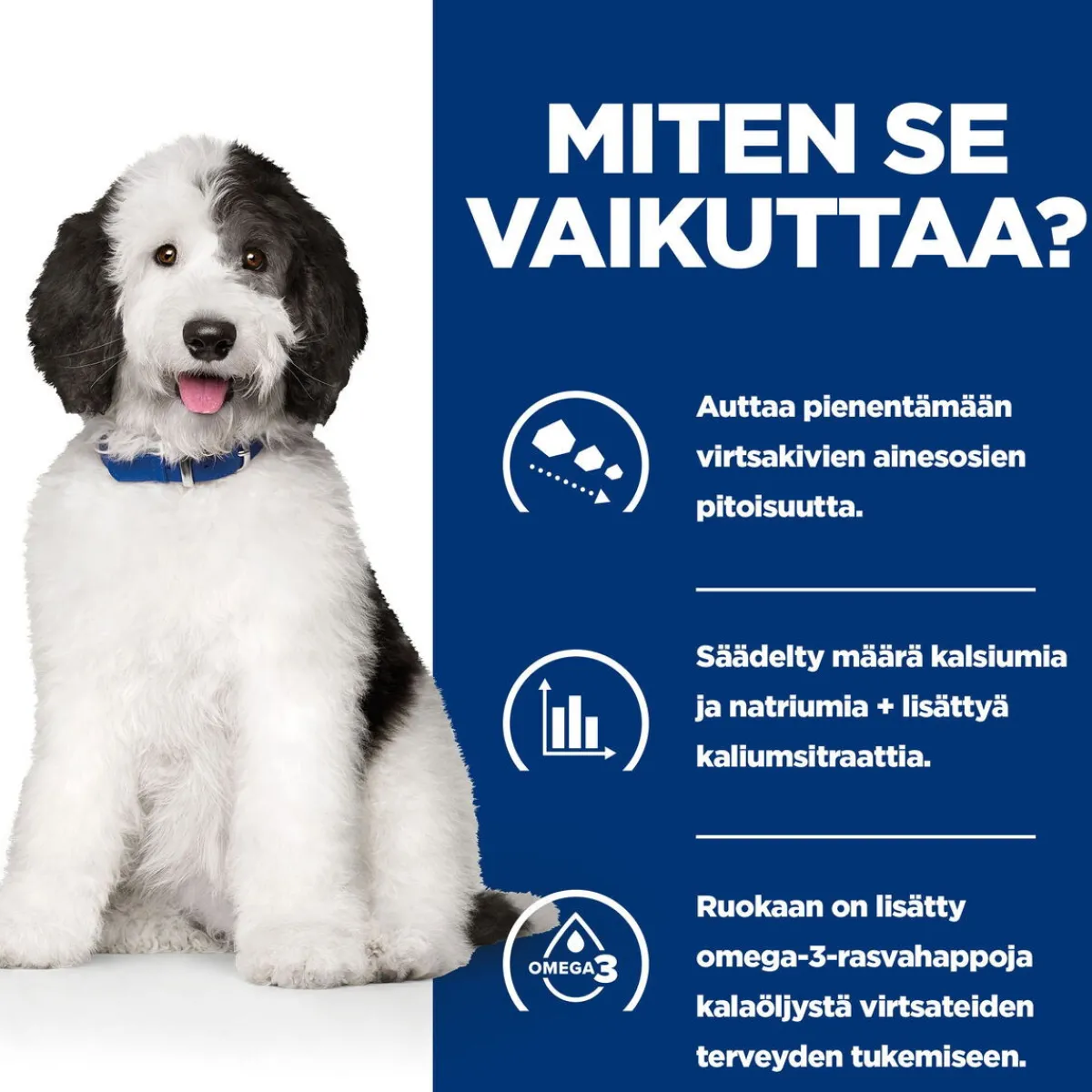 Hill's Prescription Diet Koiran Virtsatievaivat|Koiran Eläinlääkäriruoka*Canine c/d Multicare Chicken 370 g