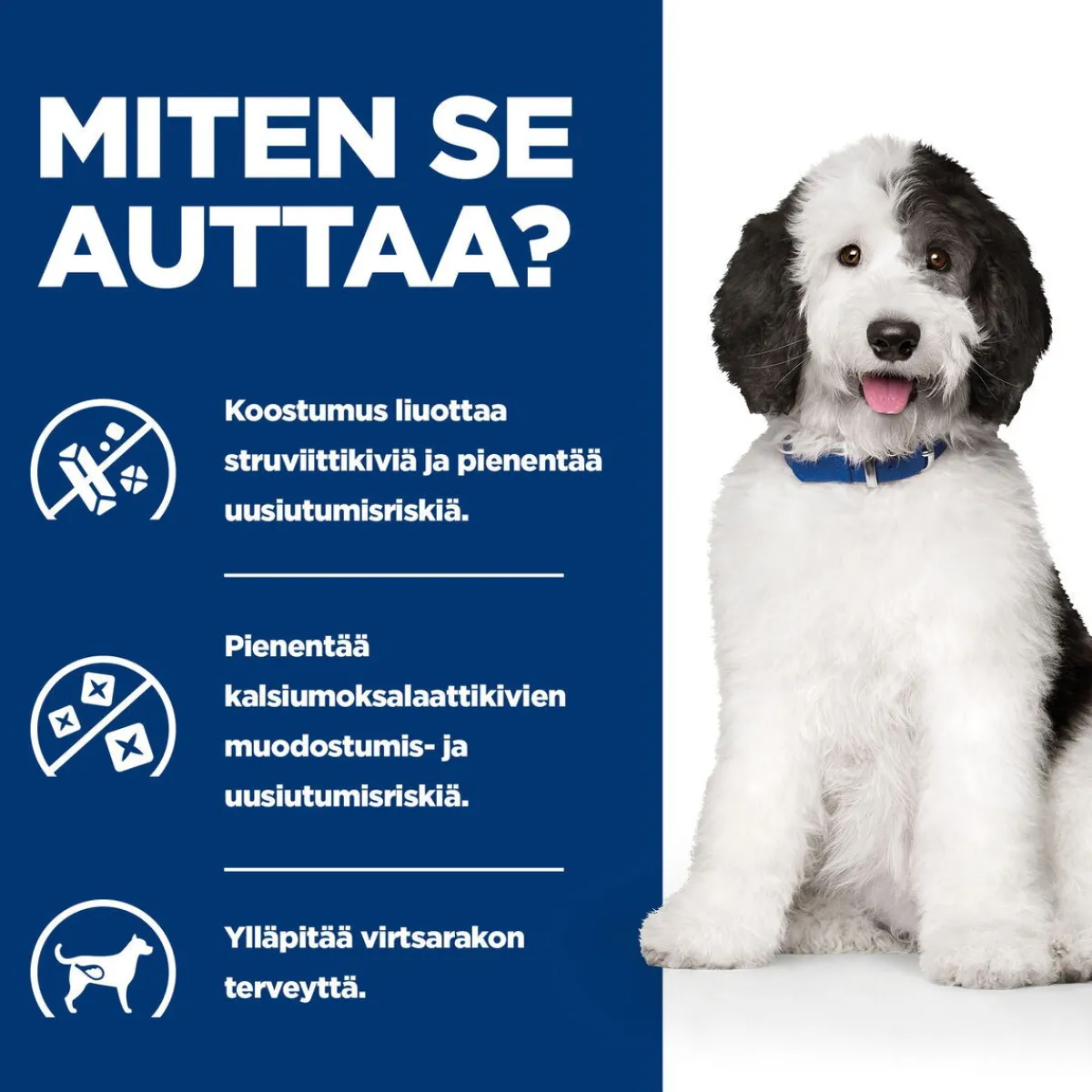 Hill's Prescription Diet Koiran Virtsatievaivat|Koiran Eläinlääkäriruoka*Canine c/d Multicare Chicken 370 g