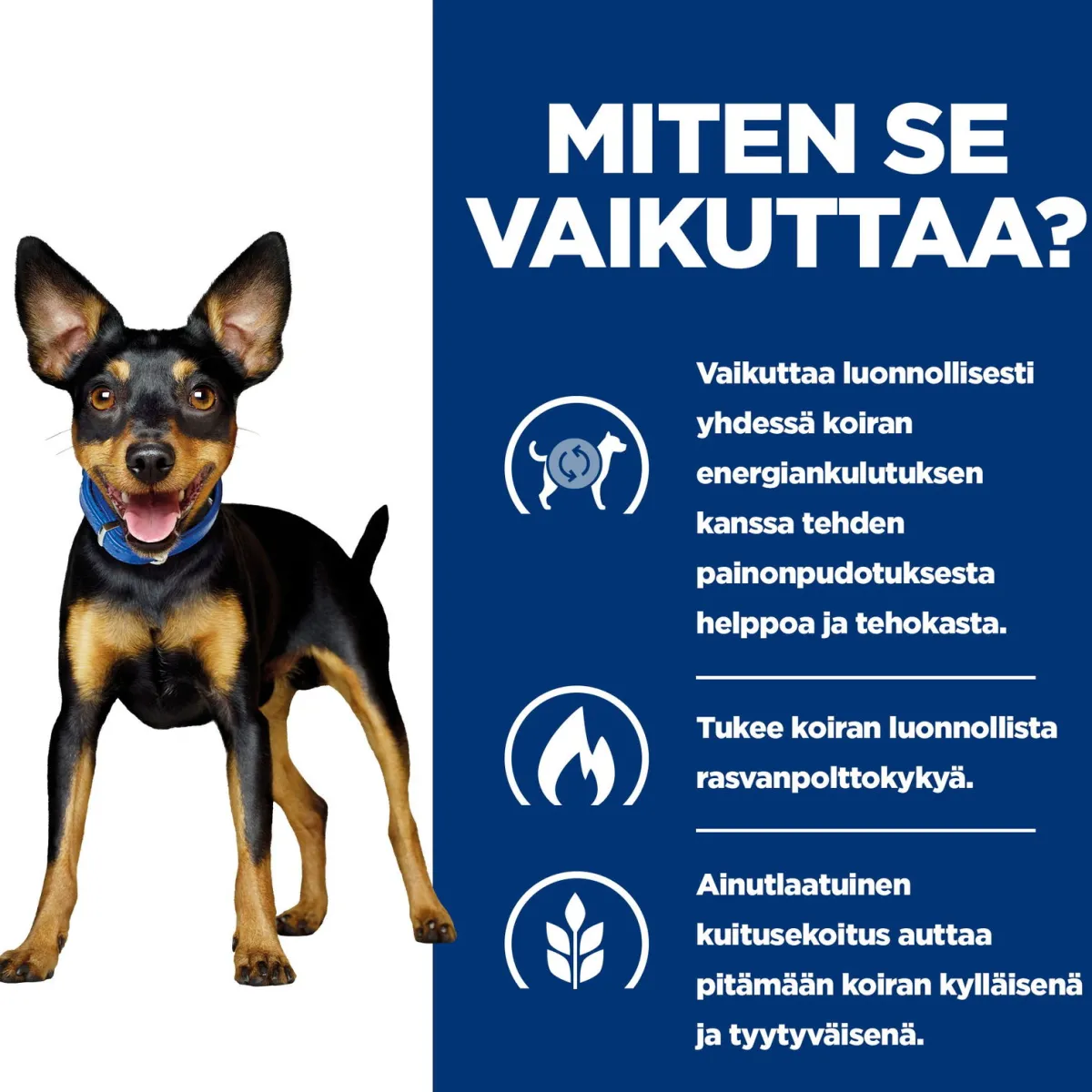 Hill's Prescription Diet Koiran Eläinlääkäriruoka|Koiran Ylipaino*Canine Metabolic Chicken & Vegetables 156 g