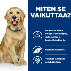 Hill's Prescription Diet Koiran Nivelvaivat|Koiran Eläinlääkäriruoka*Canine j/d Mobility 370 g