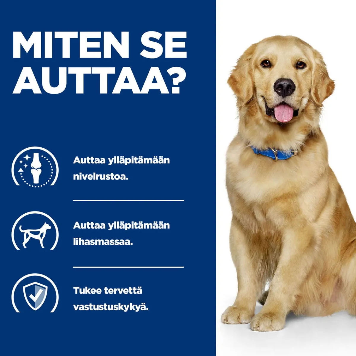 Hill's Prescription Diet Koiran Nivelvaivat|Koiran Eläinlääkäriruoka*Canine j/d Mobility 370 g