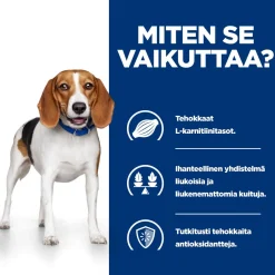 Hill's Prescription Diet Koiran Eläinlääkäriruoka|Koiran Ylipaino*Canine r/d Weight Loss 350 g