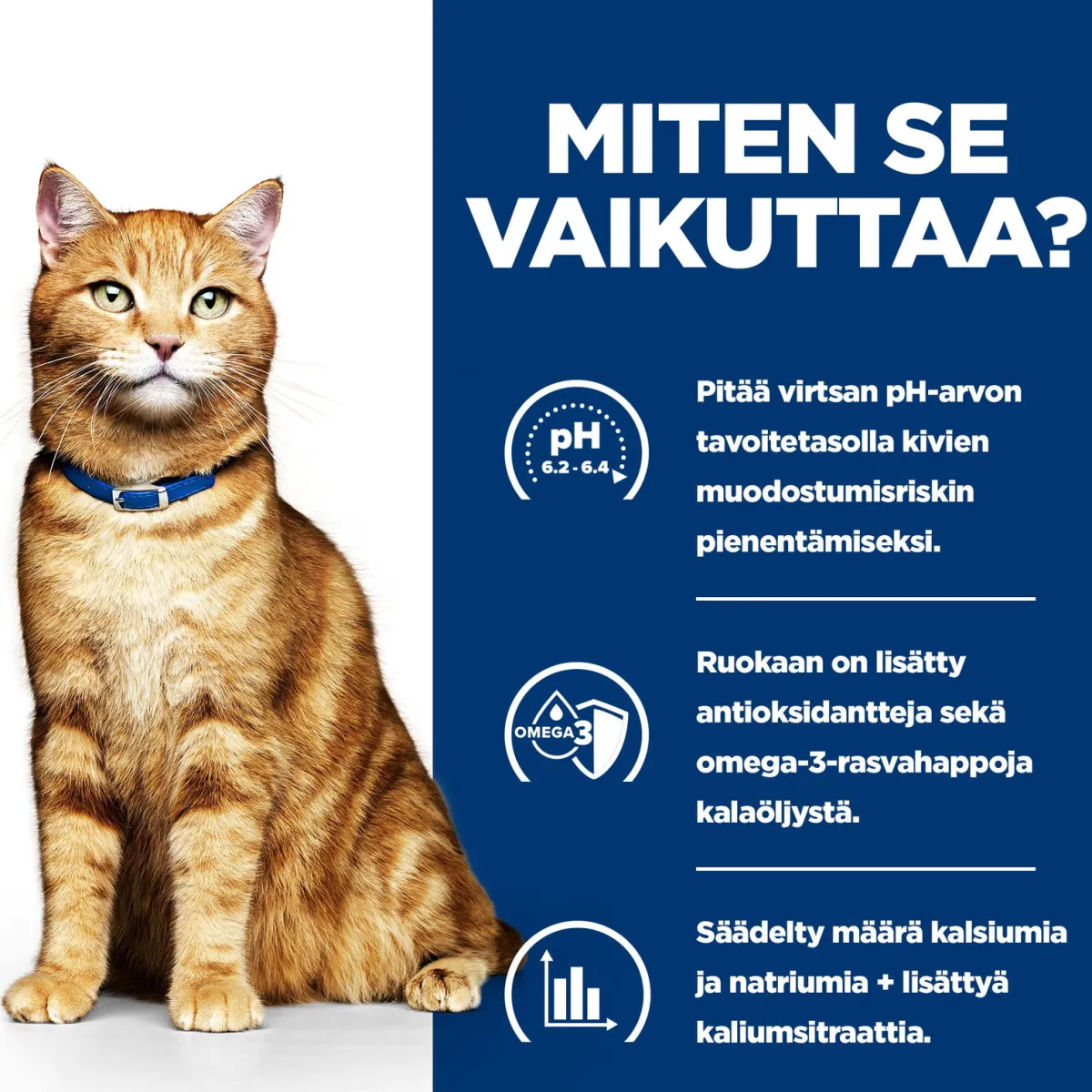 Hill's Prescription Diet Kissan Virtsatievaivat|Kissan Erikoisruoka*Feline c/d Multicare Minced Chicken 156 g