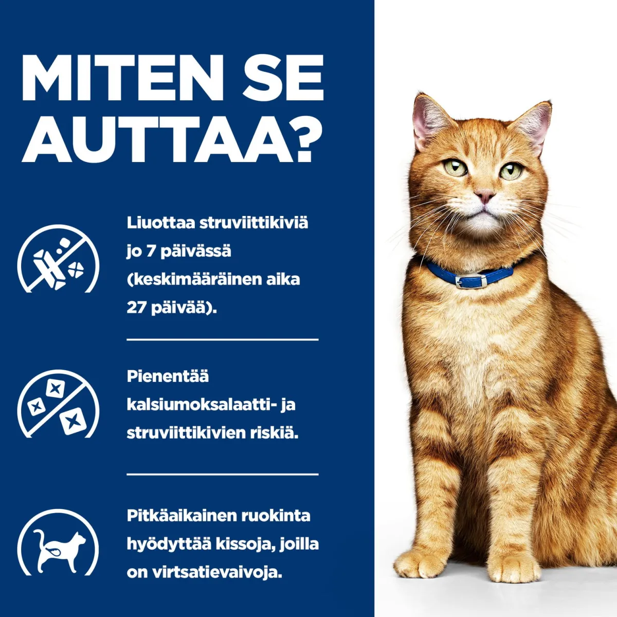 Hill's Prescription Diet Kissan Virtsatievaivat|Kissan Erikoisruoka*Feline c/d Multicare Minced Chicken 156 g