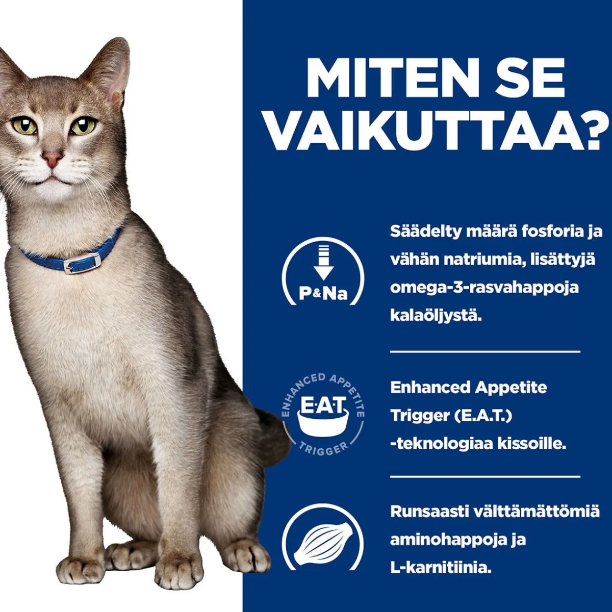 Hill's Prescription Diet Kissan Erikoisruoka|Kissan Munuaisten Vajaatoiminta*Feline k/d Kidney Care Tuna