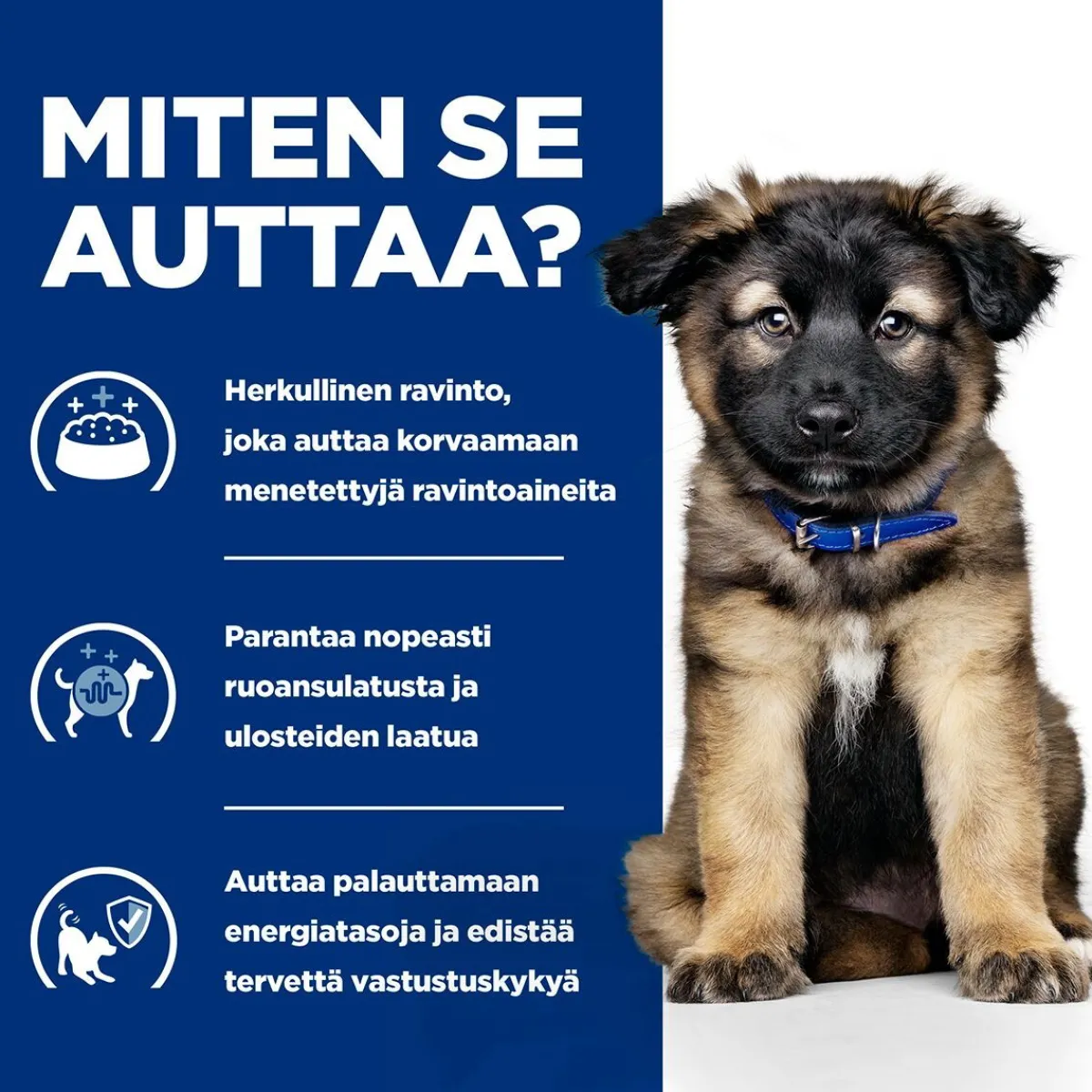 Hill's Prescription Diet Koiran Eläinlääkäriruoka|Koiran Suolistosairaudet*Puppy i/d