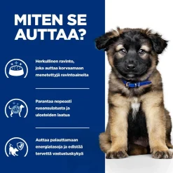 Hill's Prescription Diet Koiran Eläinlääkäriruoka|Koiran Suolistosairaudet*Puppy i/d wet