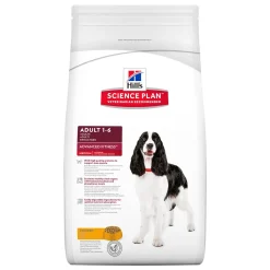 Hill's Koiran Kuivaruoka*Hills Science Plan Canine Adult Chicken