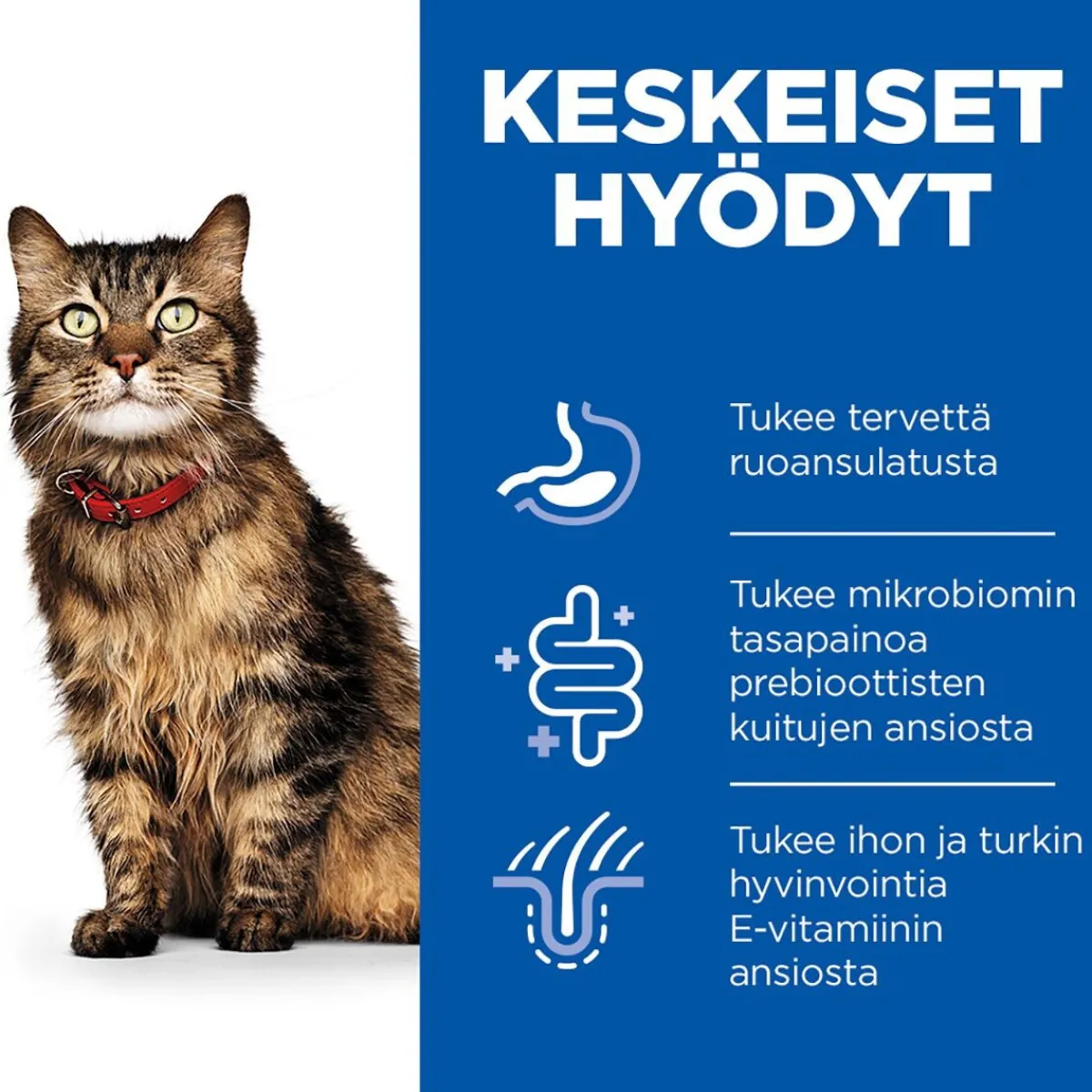 Hill's Kissan Märkäruoka|Kissan Erikoisruoat*Science Plan Cat Adult Sensitive Stomach & Skin Turkey 12x85g