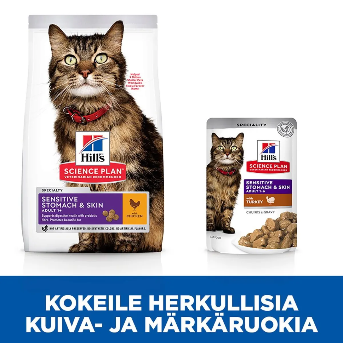 Hill's Kissan Märkäruoka|Kissan Erikoisruoat*Science Plan Cat Adult Sensitive Stomach & Skin Turkey 12x85g